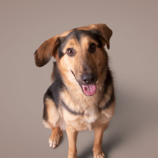 Foto de perfil de Umbría